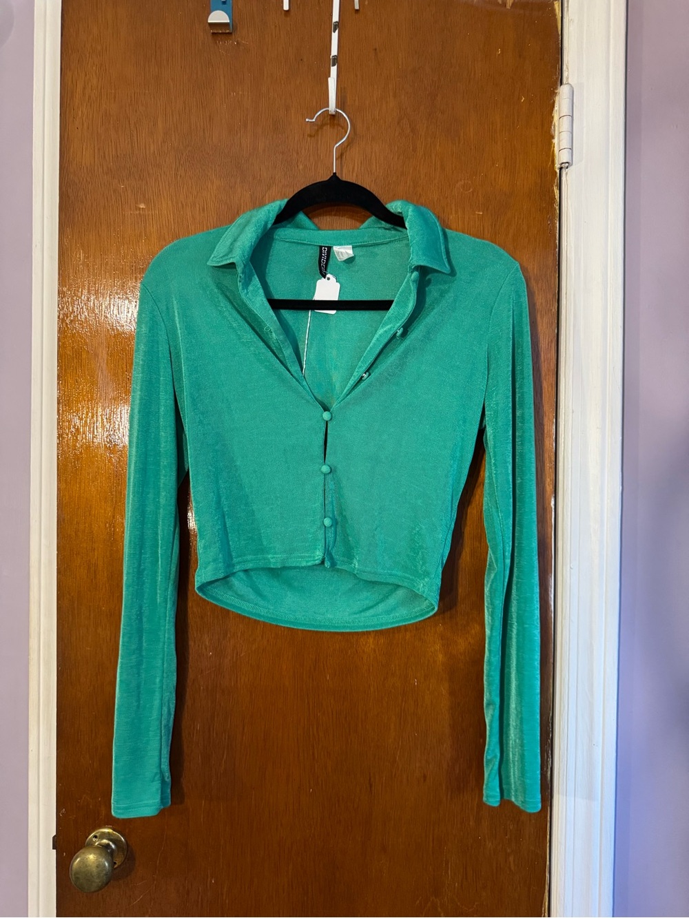 H&M Teal Cropped Button-Front Shirt